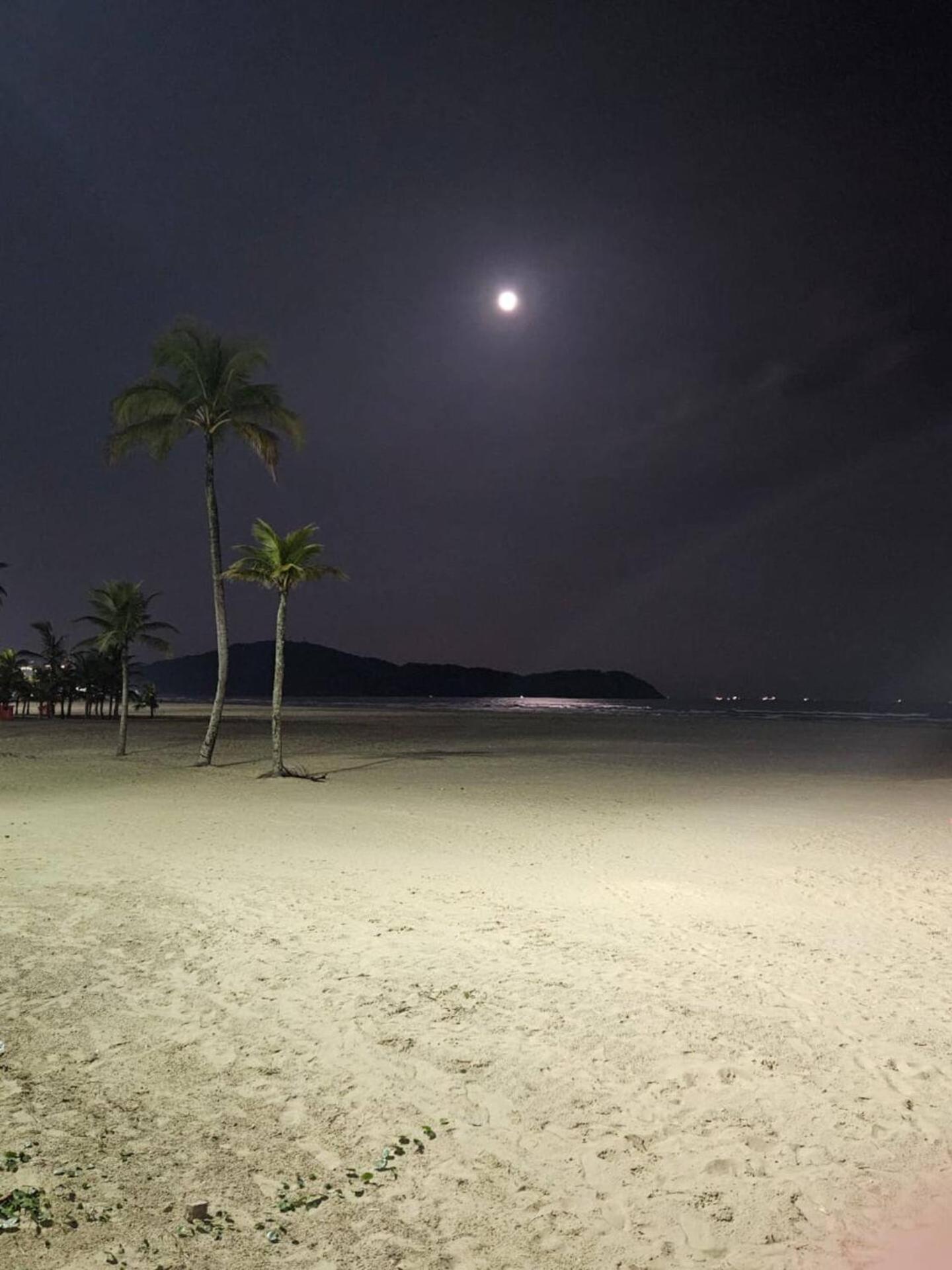 Apartment Aviacao Praia Grande (Santos)